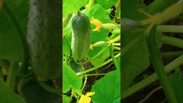 Обо Всем по Чуть-чуть...