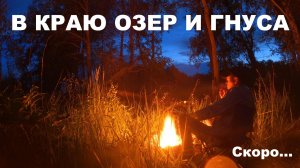 В краю озер и гнуса / Скоро