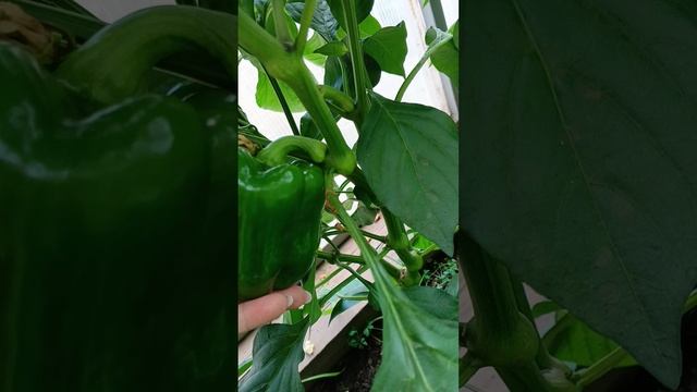 Обо Всем по Чуть-чуть...