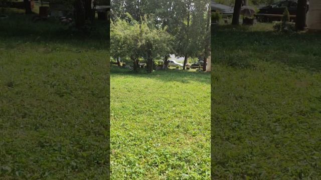 Аномалии на детской площадке смотреть онлайн