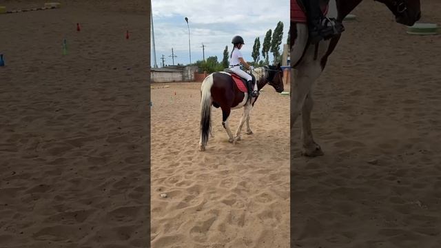 Слезы не помогут! Главное-сделать выводы! Все не так плохо! Есть к чему стремиться! пост читайте в т