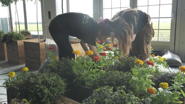 30 лет «ЭкоНиве»: как мы вырастили город посреди поля 🌿🎉 смотреть онлайн