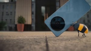 Билайн - Для хитрых жуков (Россия) (2025)