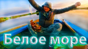 Рыбалка на заливе Белого моря
