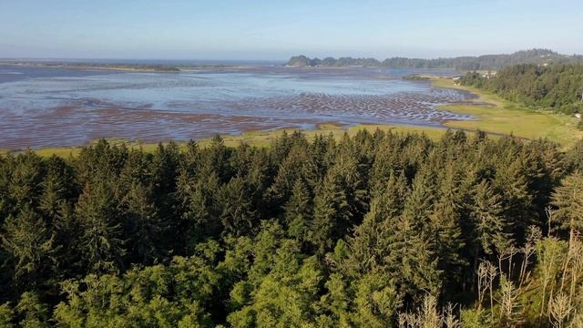 Красивые виды природы с высоты птичьего полета: леса, реки, водоёмы смотреть онлайн