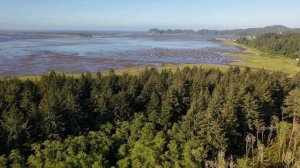 Красивые виды природы с высоты птичьего полета: леса, реки, водоёмы