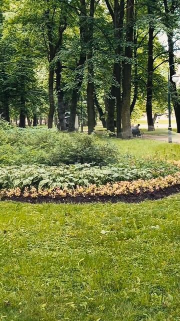 В Михайловском парке... Мои бродилки по любимому Городу. Санкт-Петербург. 🎥vid Островский Сергей