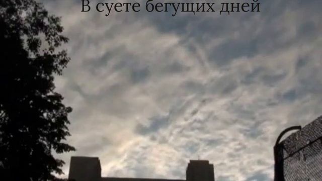 В суете бегущих дней