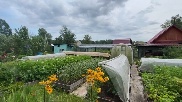 2025-07-12 17.45.46 смотреть онлайн