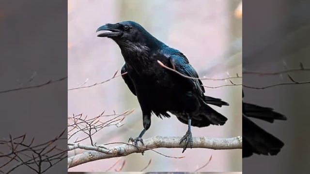 Это интересно-32