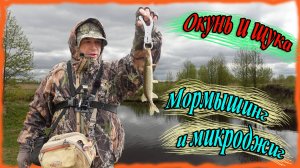 Окунь и щука. Мормышинг и микроджиг