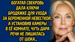 Богатая свекровь дала ключи бродяжке для ухода за беременной невесткой… А установив камеры в её...