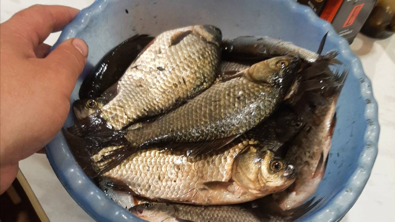 Рыболовные приключения продолжаются смотреть онлайн