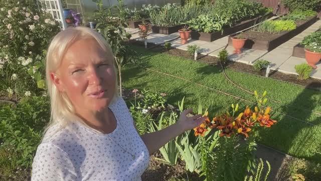 На даче в деревне🏡#Жара#Пятничный обзор сада🌳🌺#Купальный сезон открыт#11июля2025#сад#дача#деревня