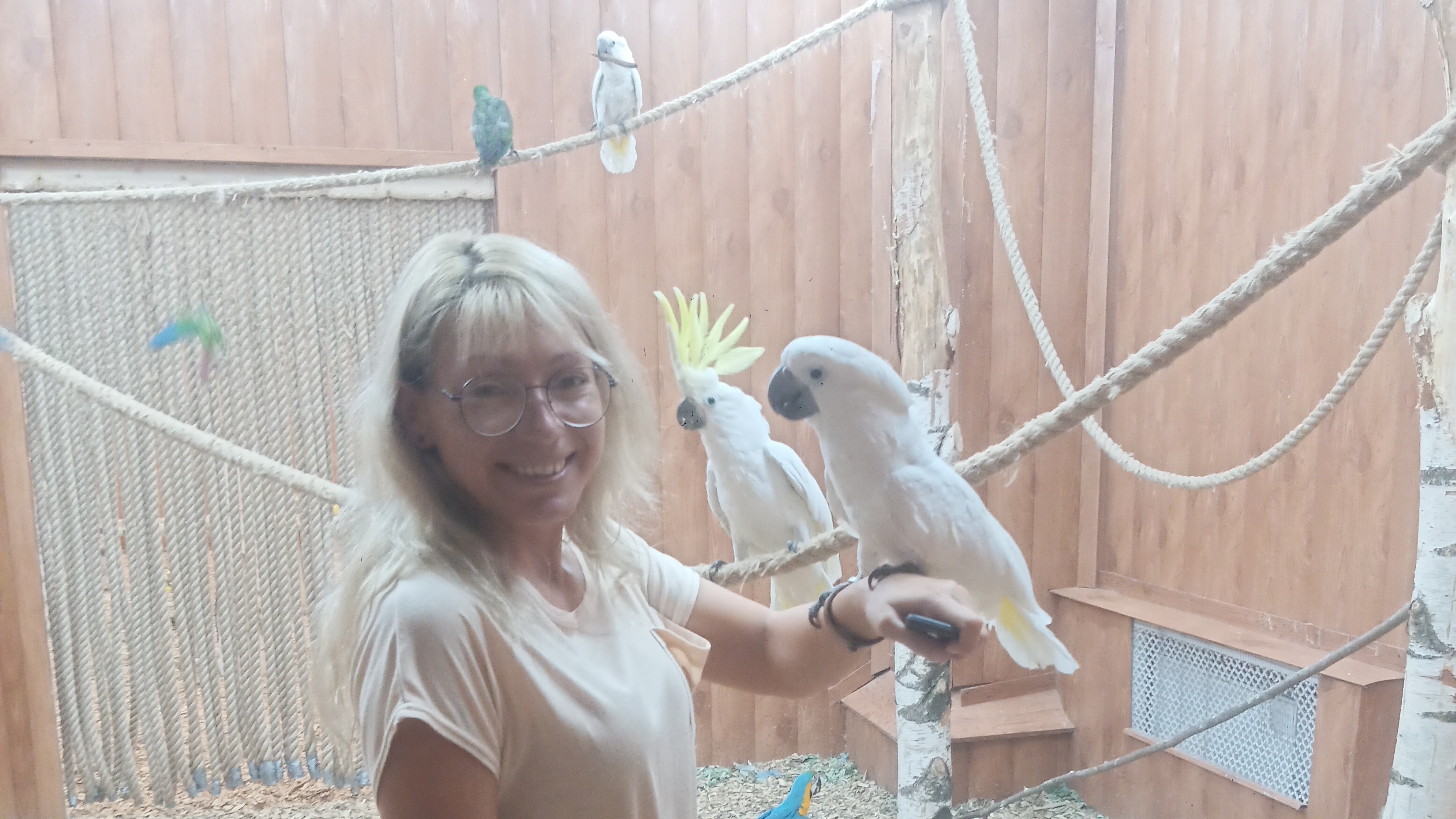 Контактный зоопарк "Весёлый Какаду" в городе Красногорске - полезная информация. смотреть онлайн