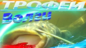 ПОДВОДНАЯ ОХОТА ВЕСНОЙ НА САЗАНА 2025 г. ( ЧАСТЬ - 3)