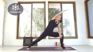 РАСТЯЖКА НА ВСЕ ТЕЛО - День 1 РАСТЯЖКА СПИНЫ ВЫТЯЖЕНИЕ и Упражнения на растяжку. Йога |Елена Малова