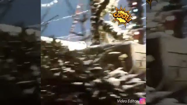 Новый год 2019 смотреть онлайн