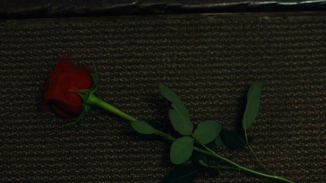 «Улыбка. Новый кошмар»
Трейлер смотреть онлайн