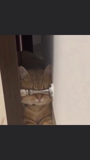 Если я их не вижу, то и они меня не видят смотреть онлайн