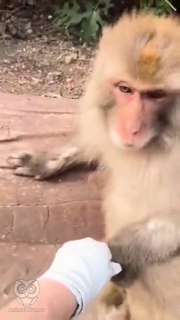 Вылечила! Больше не болей! 😁