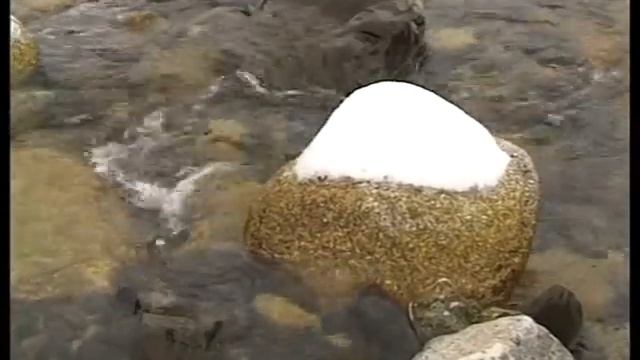 Муус хайа смотреть онлайн