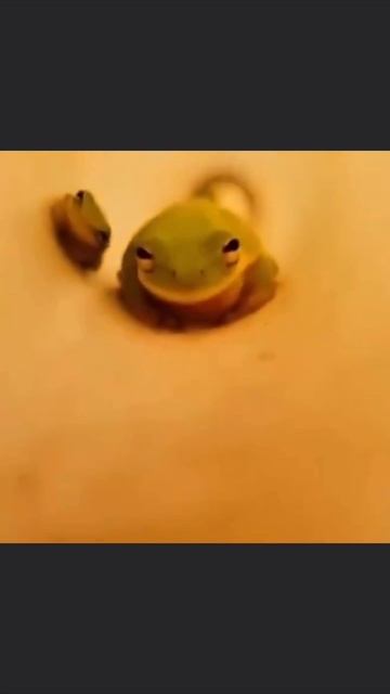 Среда, мои чуваки смотреть онлайн