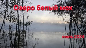 Отдых озеро Белый Мох, показываем обновки. #Лето 2024#отдых#палатка#шатер