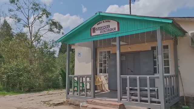 Навестила Внучку в пионерском лагере.😁Красоты Московской области 😍 смотреть онлайн