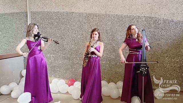 Заказать струнный коллектив на встречу гостей в Москве - живая музыка на свадьбу и праздник смотреть онлайн