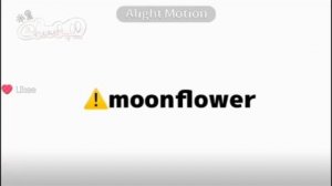 Мой любимый шип как и Муншелл 🤤😋
Да это подборка