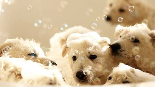 Доброе утро в ИЗББ