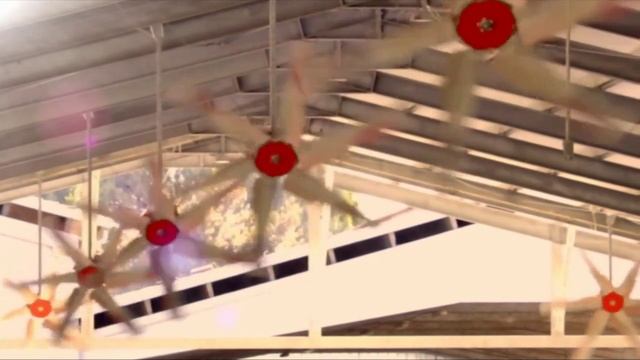 Вентиляторы смотреть онлайн