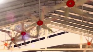 Вентиляторы