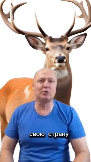 Анекдот про Оленя! смотреть онлайн