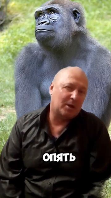 Арсен! Это ты? смотреть онлайн