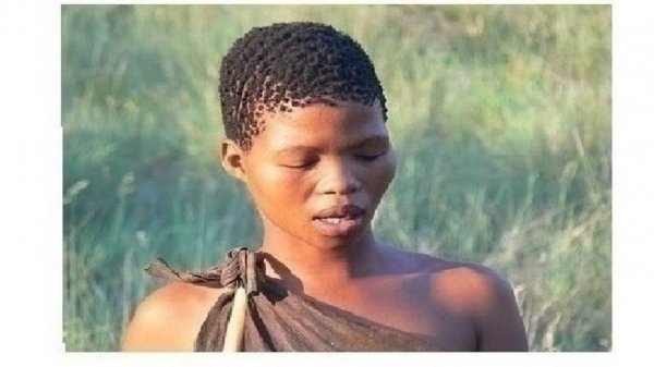 30-1++  Все люди имеют единый стартовый набор нуклеотидов оррорина  Дрейф набора имеет случайный