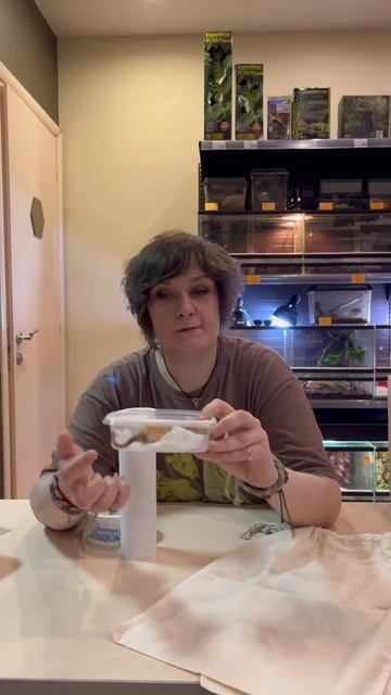 Методы транспортировки террариумных животных смотреть онлайн