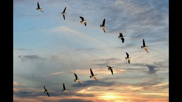 Судьба смотреть онлайн