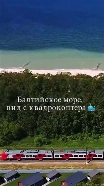 По пути из Светлогорска в Зеленоградск 🚉 #tatianakis #наморенапоезде #тревелвлог #хочуврек