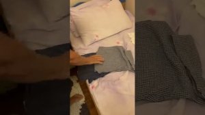 Деменция... Потеряли все вещи.