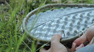 Кемпинг и рыбалка девушки на диком озере.