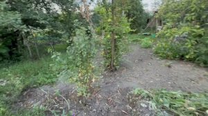 Мои мысли о жизни в деревенском доме))