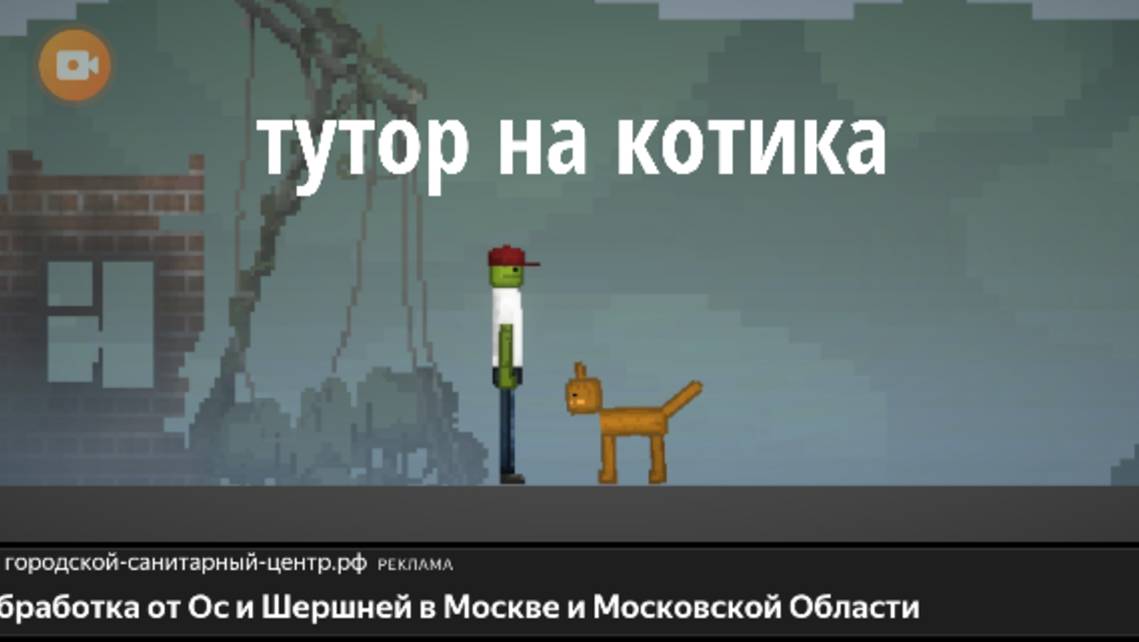 Тутор на кота смотреть онлайн