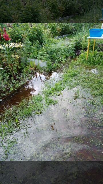 Потоп в новгородской области смотреть онлайн