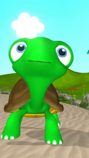 Чок-чок черепашка #нашевсе