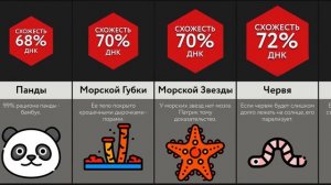 Сколько ДНК Мы Делим С ___