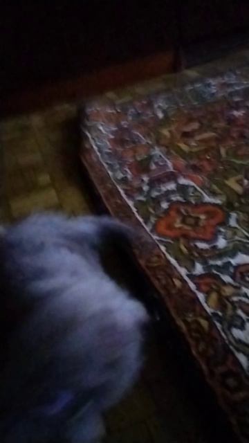 Кот Васька 😺 смотреть онлайн