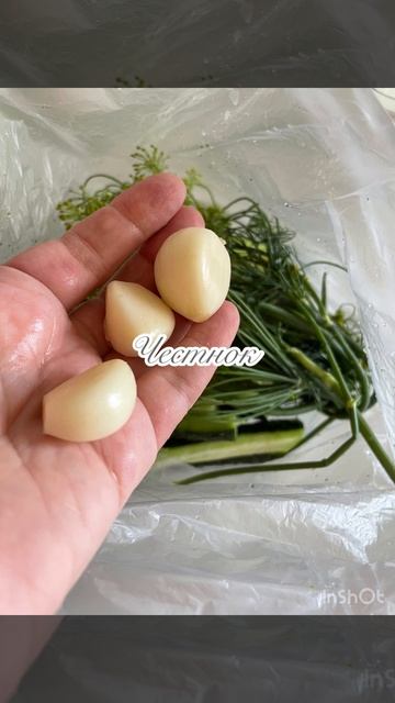 video-output-3AD16907-05C4-46D2-9486-EF1EA480DBF7-1