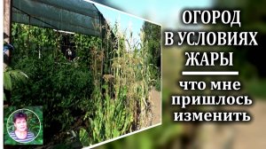 Как я изменила подход к огородничеству в условиях глобального потепления